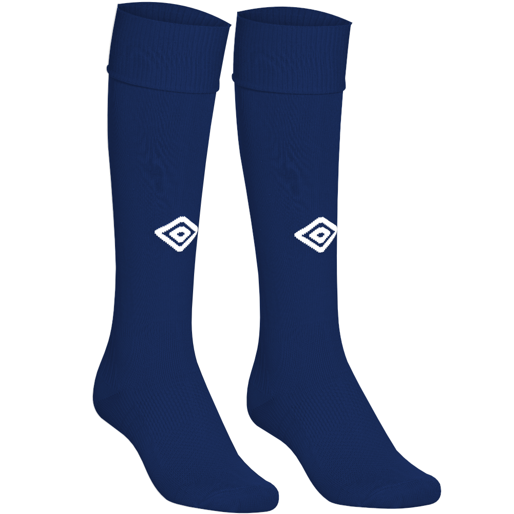 League Navy Socks