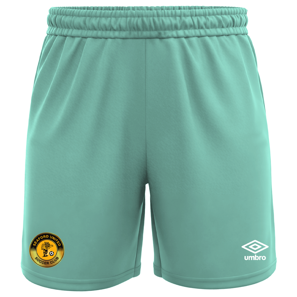 Seaford United Teal Junior Package
